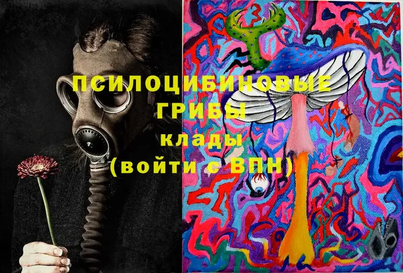 Галлюциногенные грибы Magic Shrooms  купить  сайты  Звенигово 