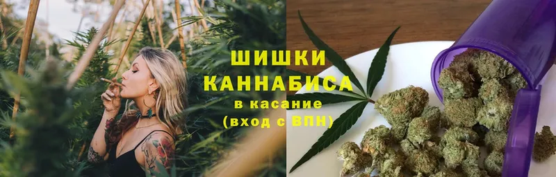 цены   Звенигово  Канабис сатива 